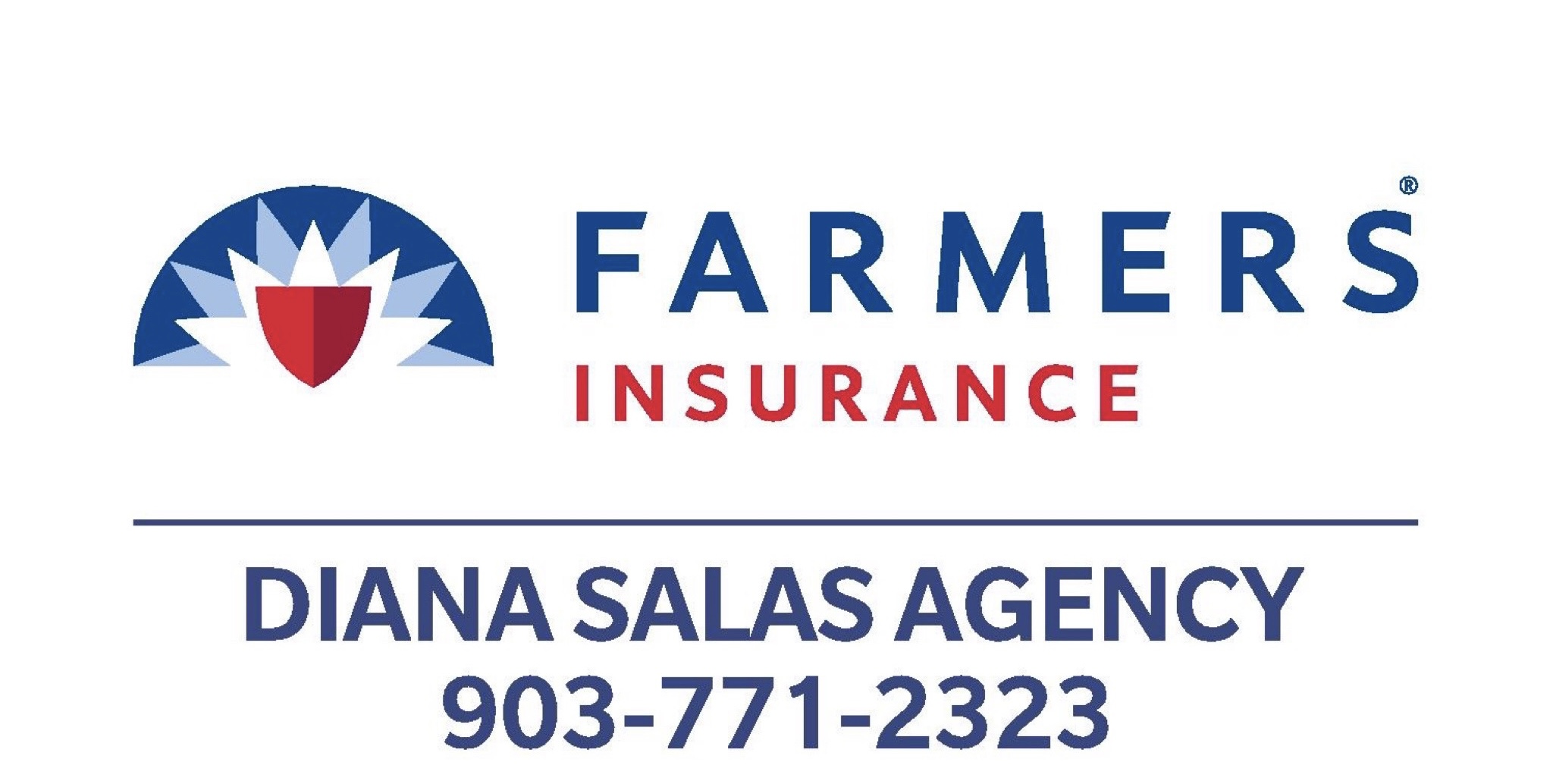 Diana Salas Agency's Logo