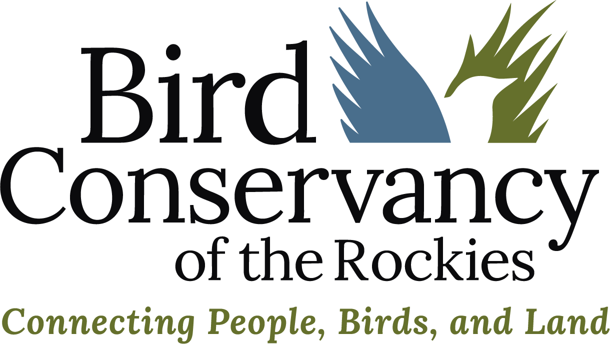 Event Promo Photo For Nature Music Bingo