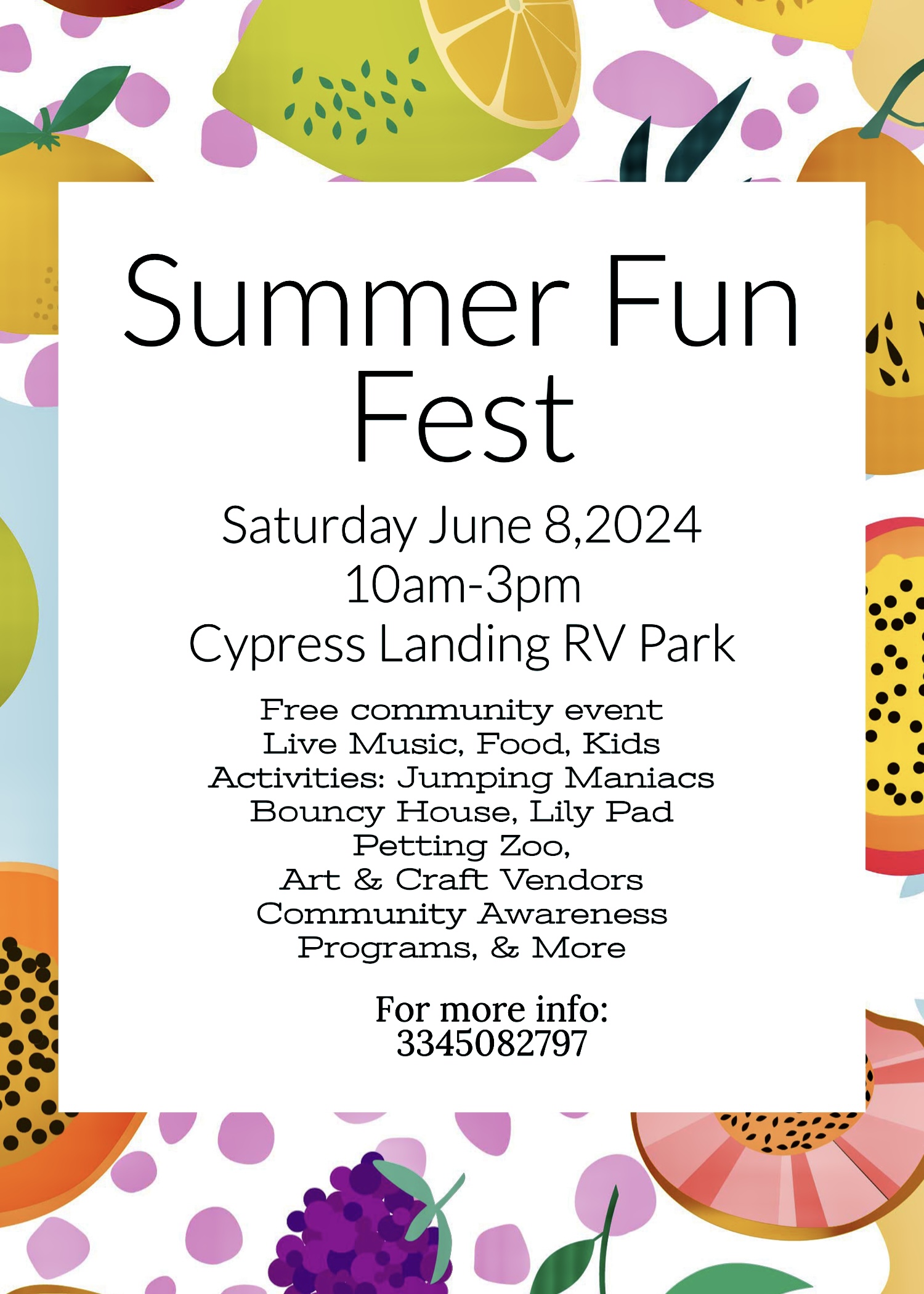 Summer Fun Fest Photo - Click Here to See